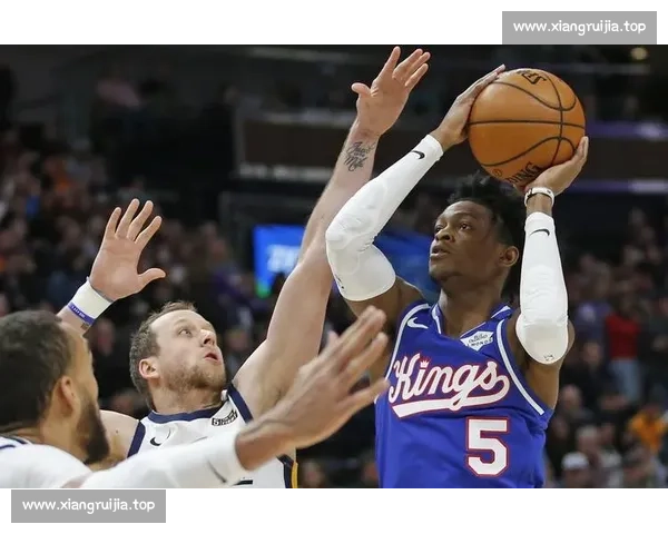 权威体育赛事直播入口官网畅享全球精彩对决即时高清互动服务平台