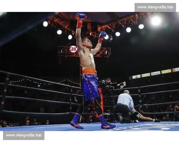 国际拳击赛激烈对决全球拳手争锋展现巅峰实力与荣耀之战